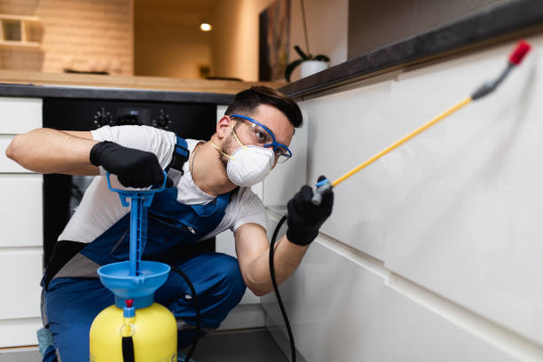 Best Best Pest Control Companies  in Coronita, CA