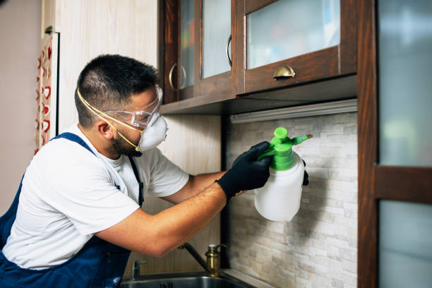Best Local Pest Control Services  in Coronita, CA
