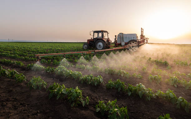 Best Pest Inspection Near Me  in Coronita, CA
