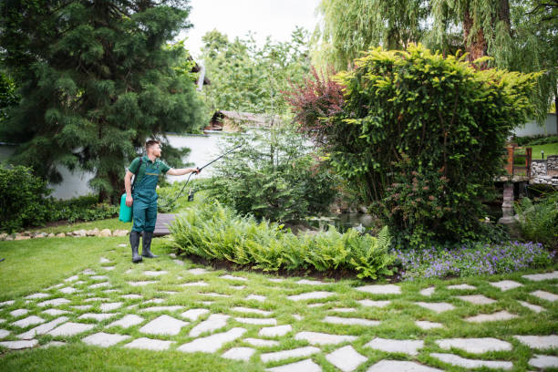 Pest Prevention Services in Coronita, CA