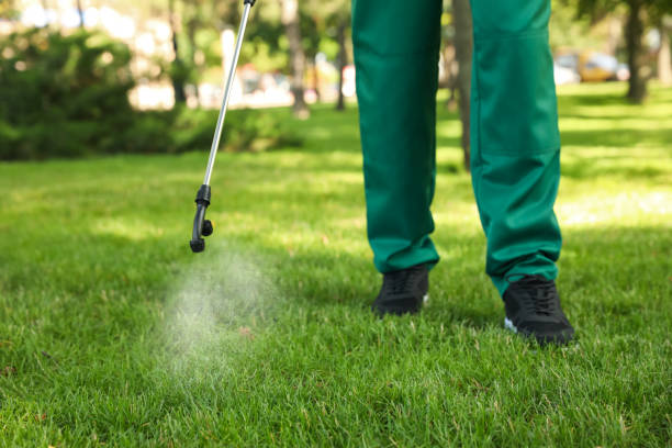 Best Affordable Pest Control Services  in Coronita, CA