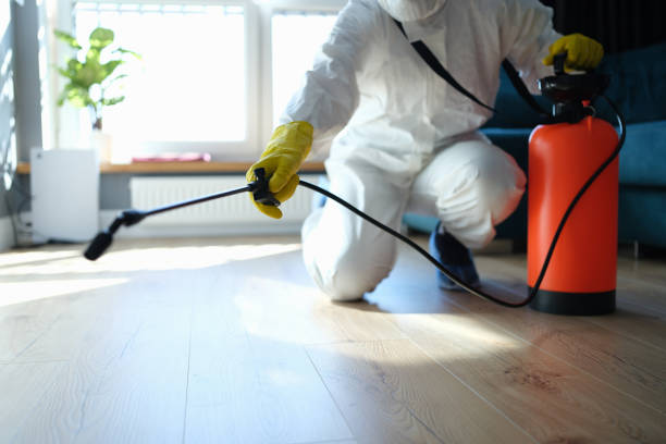 Best Flea Control Services  in Coronita, CA