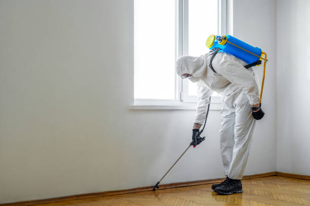 Best Pest Removal Services  in Coronita, CA