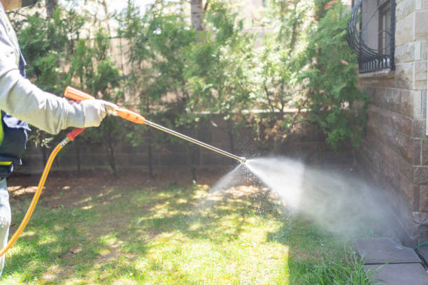 Reliable Coronita, CA Pest Control Solutions